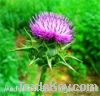 Sell The Silybum Marianum G.