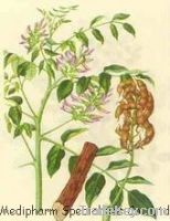 Sell Licorise Extract