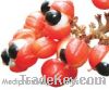 Sell Guarana Extract