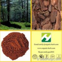 99% Pine bark extract (Anti-aging, anti-cancer)