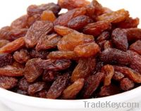 High quality Red Seedless Raisins Tulufan raisins dried grape