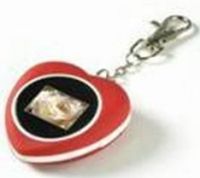 Sell Digital Photo Frame Key Chain