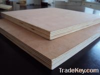 Sell cheap plywood