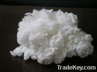 Sell recycled polyester staple fiber