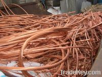 Copper Scraps Suppliers | Copper Scrap Exporters | Copper Scrap Manufacturers | Cheap Copper Scrap | Wholesale Copper Scraps | 99.99% Copper Wire Scrap| Millberry Copper Scrap | Cheap Copper Scrap | High Purity Copper Scrap | Bulk Copper Scraps | Copper S