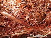 Copper Wire Scraps Suppliers | Copper Scrap Exporters | Copper Scrap Manufacturers | Cheap Copper Scrap | Wholesale Copper Scraps | Discounted Copper Scrap | Bulk Copper Scraps | Copper Scrap Buyer | Import Copper Scrap | Copper Scrap Importers | Copper S