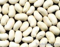 Sell all kinds of beans with good quality and cheap price