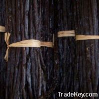 Sell vanilla beans from Madagascar