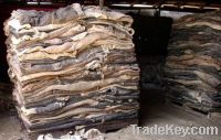 Sell salted cow hides