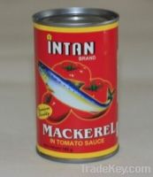 Sell canned mackerel in tomato sauce