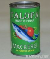 Sell canned mackerel in tomato sauce