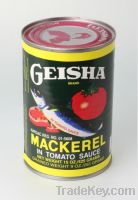 Sell High Nutrition Tomato Sauce Mackerel Fish Canned