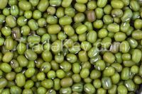 2016 Green Mung Beans