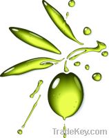 Sell Premium and Organic Extra Virgin Olive Oil from Portugal