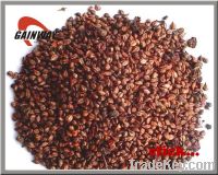 Sell Grape Seed Extract powder
