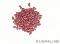 Sell kidney bean