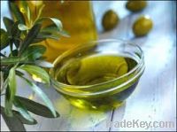 Sell 100% EDIBLE PURE OLIVE OIL