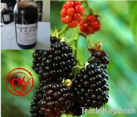 Sell blackberry juice concentrate