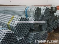 Sell Galvanized And Black Erw Pipe