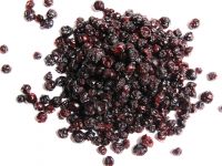 Sell infused dried blueberry