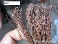 Copper Wire Scraps Suppliers | Copper Scrap Exporters | Copper Scrap Manufacturers | Cheap Copper Scrap | Wholesale Copper Scraps | Discounted Copper Scrap | Bulk Copper Scraps | Copper Scrap Buyer | Import Copper Scrap | Copper Scrap Importers | Copper S