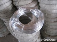 Sell  Galvanized Iron Wire electric galvanized iron wire