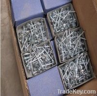 Sell common iron nails in small box/iron nails size and packing