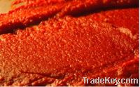 Tomato Paste 18-20% Brix