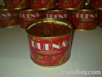 Tomato Paste