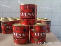 800 Grams Tomato Paste 28-30% Brix