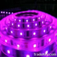 Sell LED Strip Light