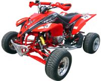 News ! 300cc ATV (YX-AV300)