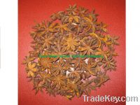 Sell Veitnam Star anise super (autumn new crop)