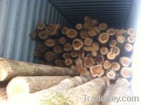 Sell teak wood logs