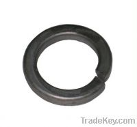 Sell DIN127b Spring Washer