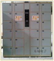 Sell electronic storage lockers