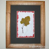 Sell Quality wooden photo frame