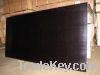 Sell Black FIlm Faced Plywood