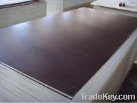 Sell WBP Film Faced Plywood