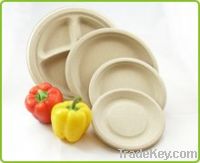 Sell 10 inch compostable wedding party paper plates