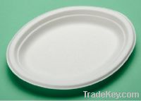 Sell 12 inch biodegradable disposable oval paper plate