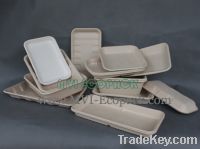 Sell disposable freezer bagasse tray for take away