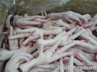 Export Chicken Paw | Chicken Feet Suppliers | Poultry Feet Exporters | Chicken Feets Traders | Processed Chicken Paw Buyers | Frozen Poultry Paw Wholesalers | Low Price Freeze Chicken Paw | Best Buy Chicken Paw | Buy Chicken Paw | Import Chicken Paw | Chi