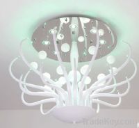 Sell special design ceiling Light with LED
