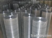 Sell Heavy Welded Wire Mesh and Stainless steel wire mesh