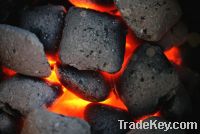 Sell Export  Steam Coal | Steam Coal Suppliers | Steam Coal Exporters | Steam Coal Traders | Steam Coal Buyers | Steam Coal Wholesalers | Low Price Steam Coal | Best Buy Steam Coal | Buy Steam Coal