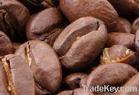 Arabica and Robusta Coffee for sell