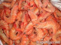 Frozen Red Shrimps for sell