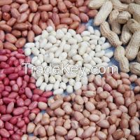 raw peanuts for sell