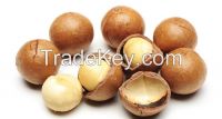 Organic Macadamia Nuts